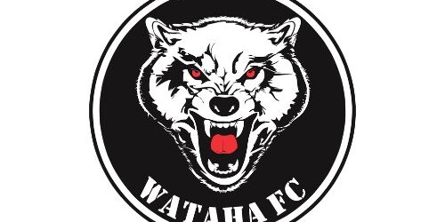 Judo Sosnowiec WATAHA FC